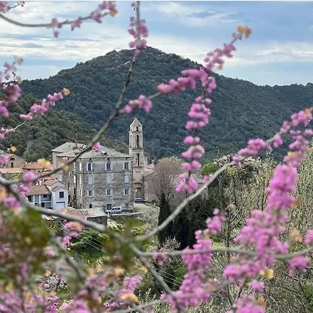Duplex Au Village דירה