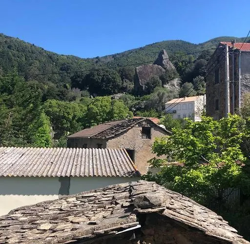 Duplex Au Village * Tox