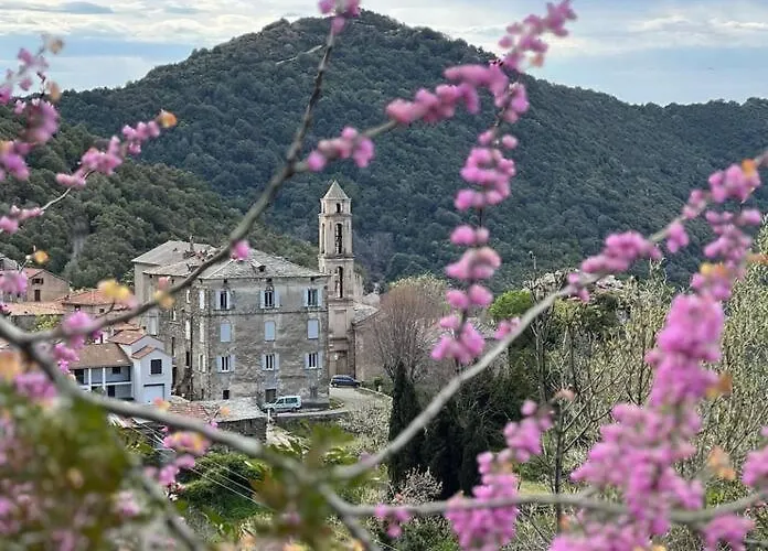 Duplex Au Village Appartamento